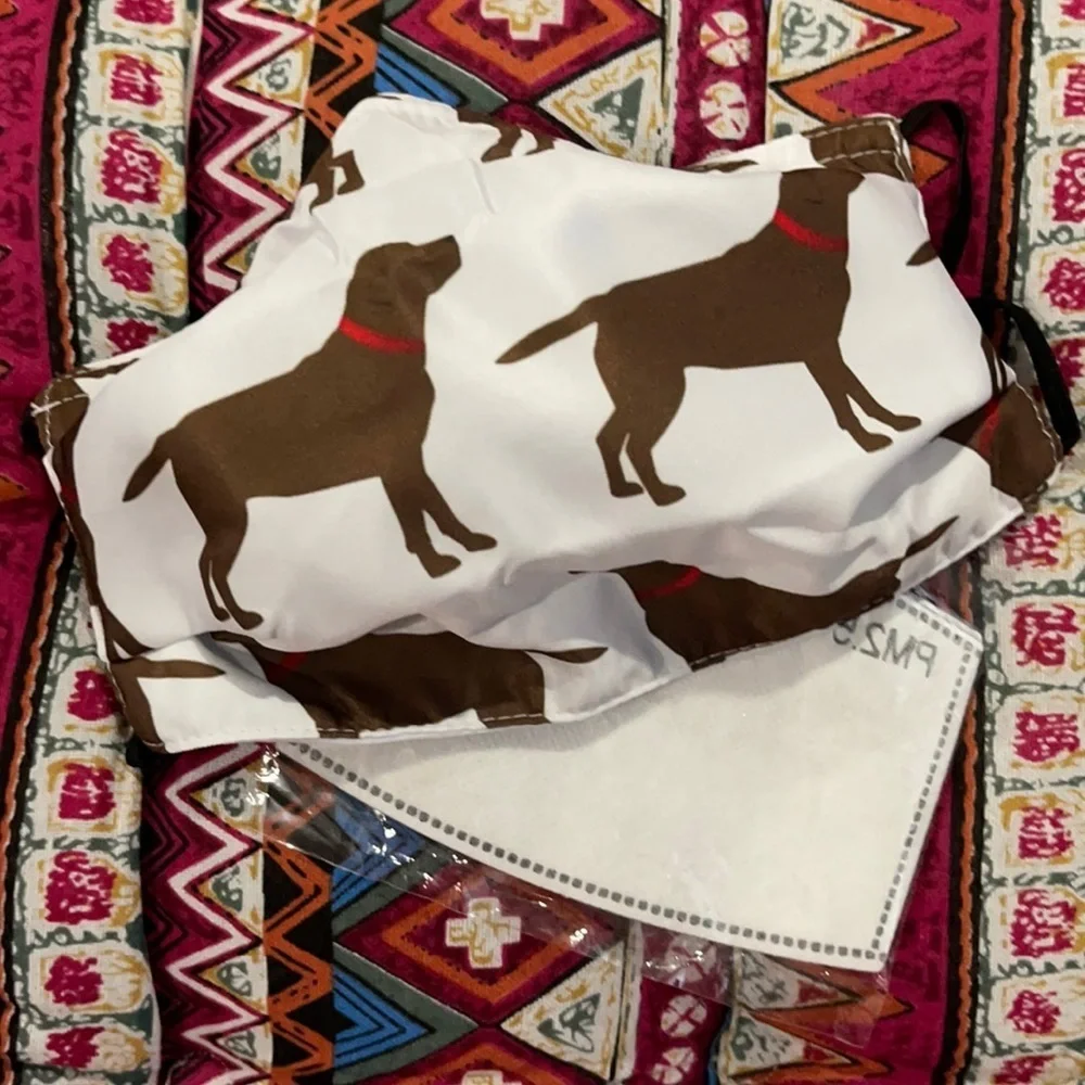 6/$20 New Chocolate lab face mask